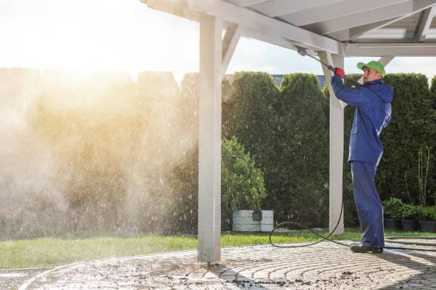 Best Soft Washing  in Bertsch Oceanview, CA